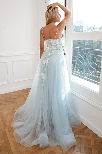 Light Blue Appliques Tulle Ball Dress
